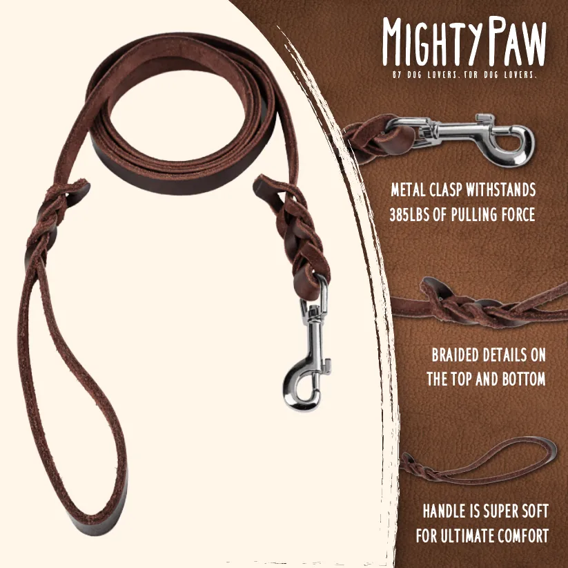 6' Braided Leather Dog Leash - Padded Handle & Aviation Aluminum Carabiner